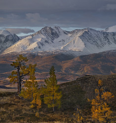 Similar image 21675677