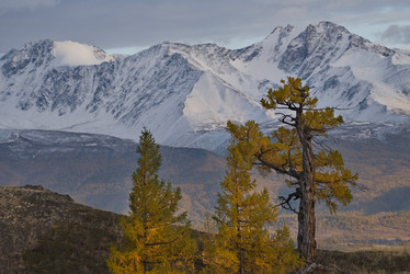 Similar image 21675678