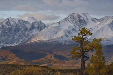 Similar image 21675679