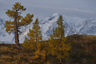 Similar image 21675680