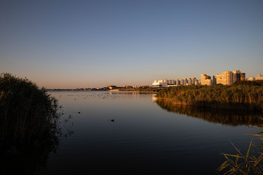 Similar image 21676858