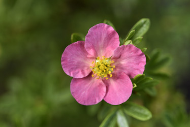 Similar image 21675277