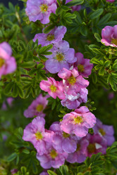 Similar image 21675280