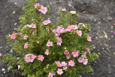 Similar image 21675282