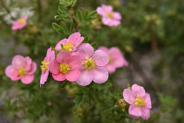 Similar image 21675288