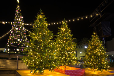 Similar image 21675292