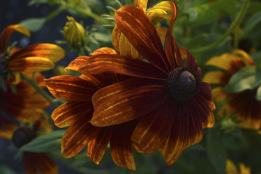 Similar image 21676572