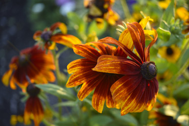 Similar image 21676573