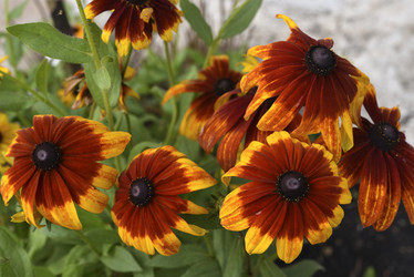 Similar image 21676574