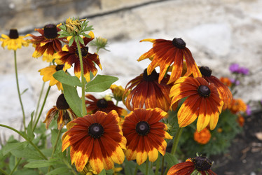 Similar image 21676577