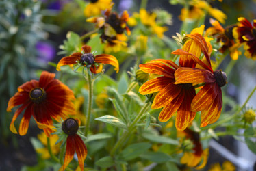 Similar image 21676578