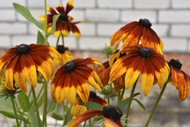 Similar image 21676582