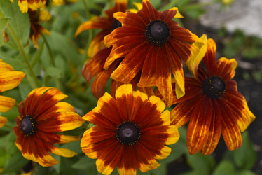 Similar image 21676583