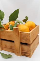 Similar image 21676861