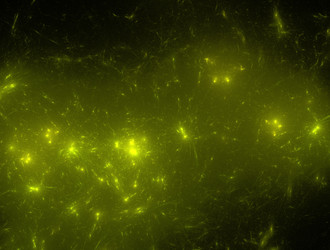 Similar image 21677026