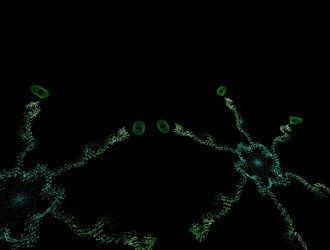 Similar image 21677060