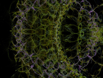 Similar image 21676125