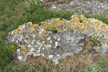 Similar image 21680834