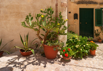 Similar image 21676588