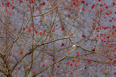 Similar image 21676906