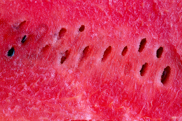 Similar image 21676910