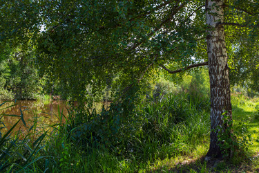 Similar image 21676911