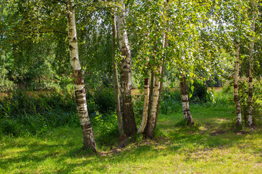 Similar image 21676912