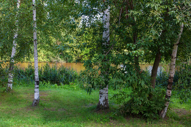 Similar image 21676913