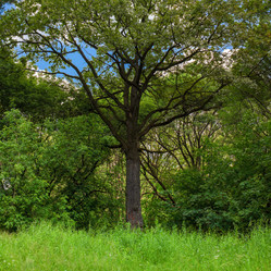 Similar image 21676914