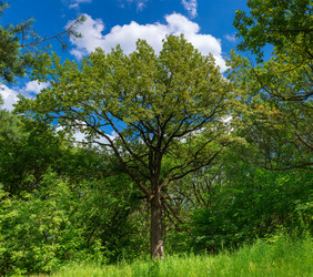 Similar image 21676915