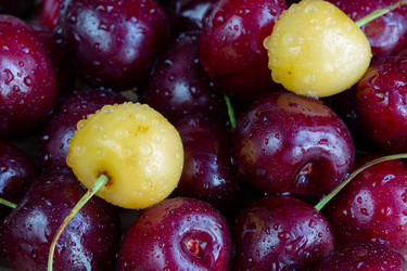 Similar image 21676917