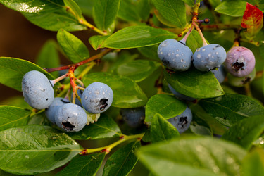 Similar image 21676919