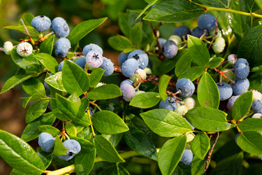 Similar image 21676921