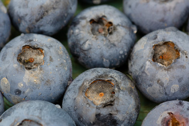 Similar image 21676923