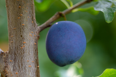 Similar image 21676924