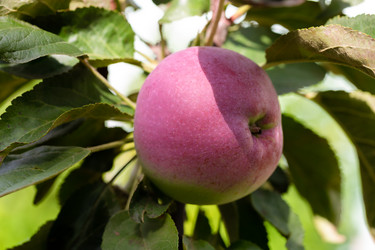 Similar image 21676590