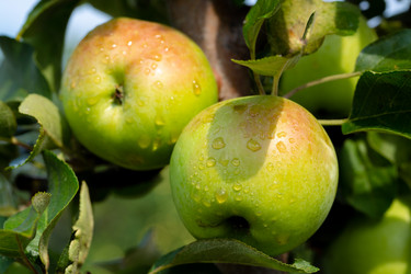 Similar image 21676591