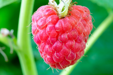 Similar image 21676592