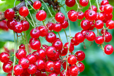 Similar image 21676593