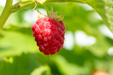 Similar image 21676594