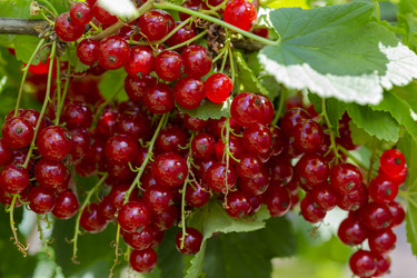 Similar image 21676595