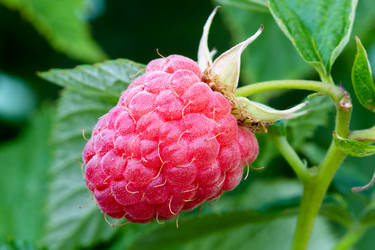 Similar image 21676596