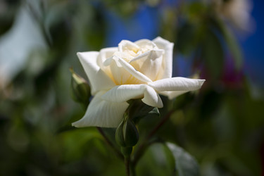 Similar image 21675355