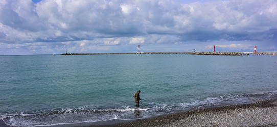 Similar image 21676599