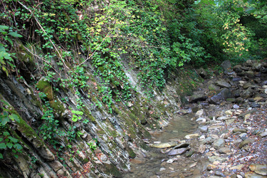 Similar image 21676606