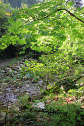 Similar image 21676608