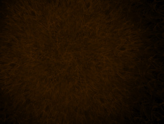 Similar image 21680862