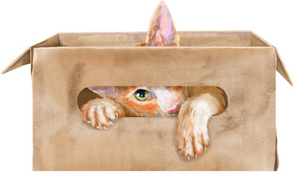 Similar image 21678057