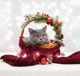 Similar image 21682678