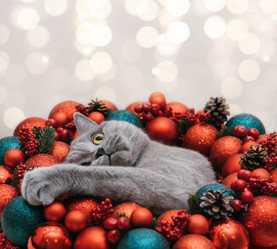 Similar image 21682682